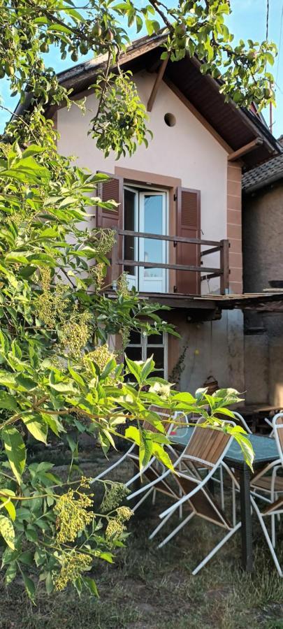 Au Jardin De La Maison Des Soeurs Mutzig