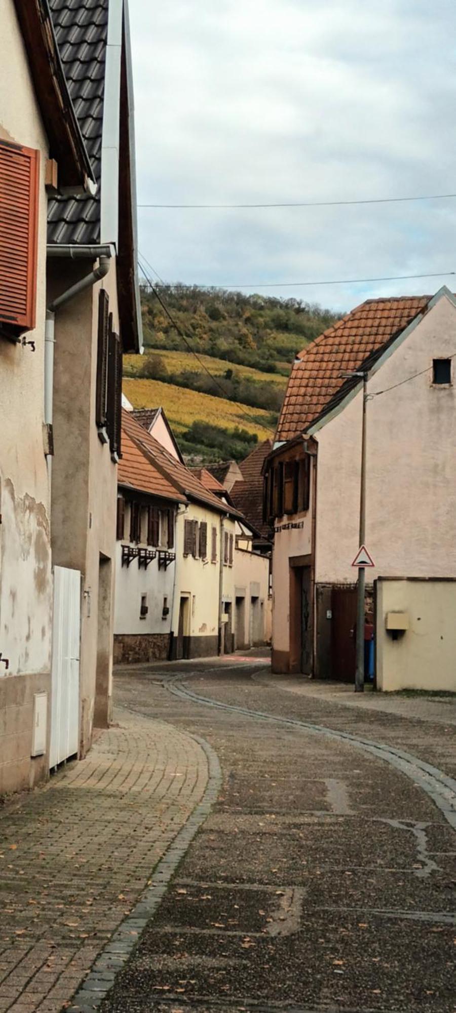Au Jardin De La Maison Des Soeurs Bed & Breakfast Mutzig